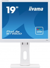 iiyama ProLite B1980D-W1, 19"