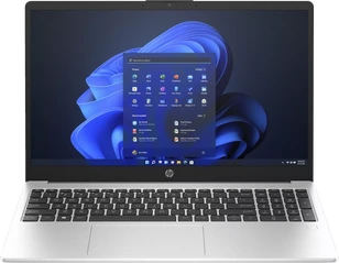 HP 255 G10, Silver, Ryzen 3 7330U, 8GB RAM, 256GB SSD