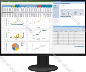 Eizo FlexScan EV2457 black, 24.1"