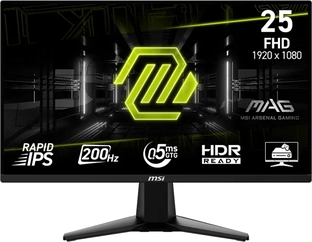 MSI MAG 255F E20, 24.5"