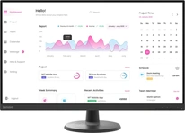 Lenovo D32-40, 31.5"