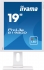 iiyama ProLite B1980D-W1, 19"