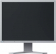 Eizo FlexScan S2133 grey, 21.3"